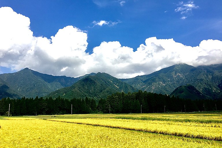 美味しい米を育む自然環境